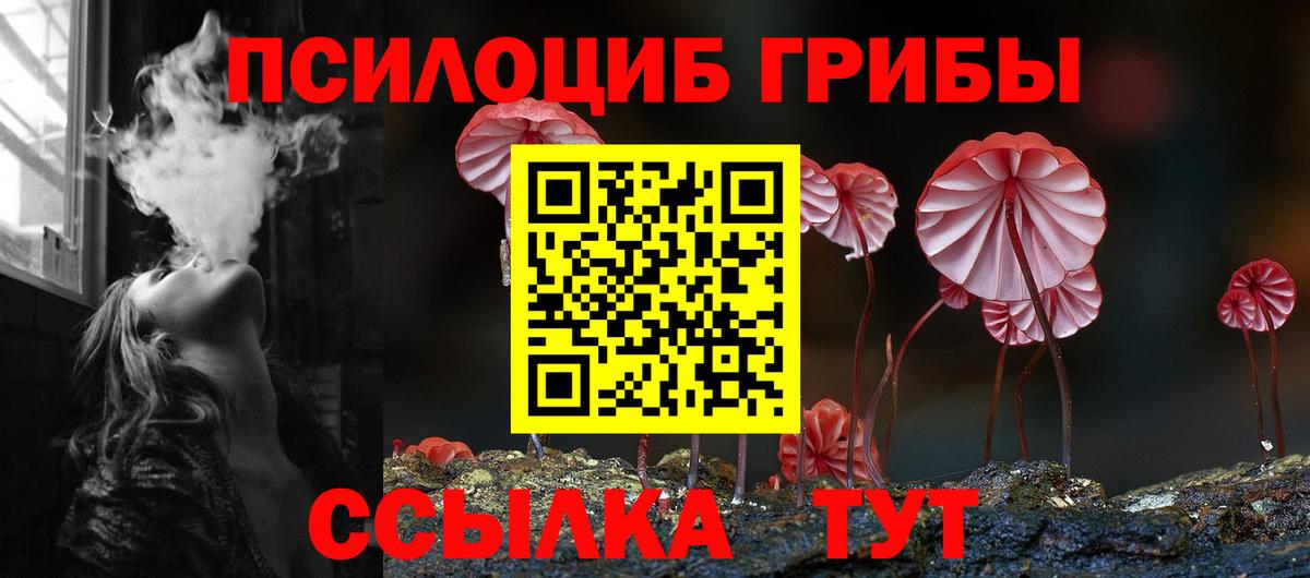 Псилоцибиновые грибы Magic Shrooms Дальнереченск